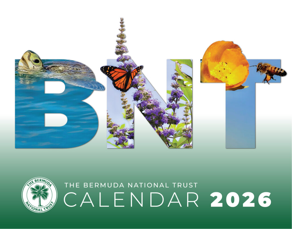 BNTCalendar2026_2_Page_01